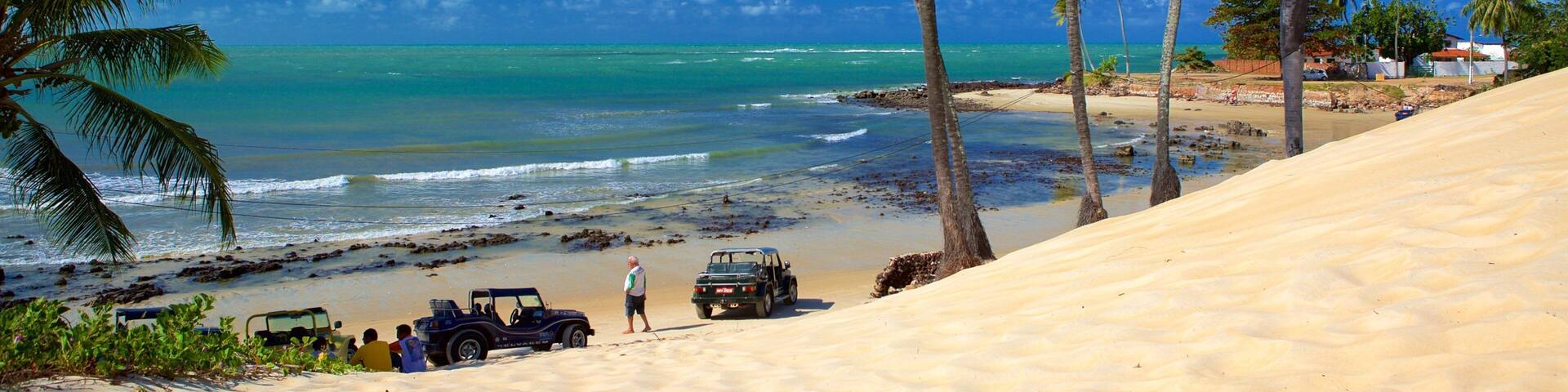 Genipabu Beach which includes tropical scenes, a beach and 4 wheel driving