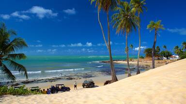 Praia de Genipabú que inclui uma praia de areia, cenas tropicais e off-road