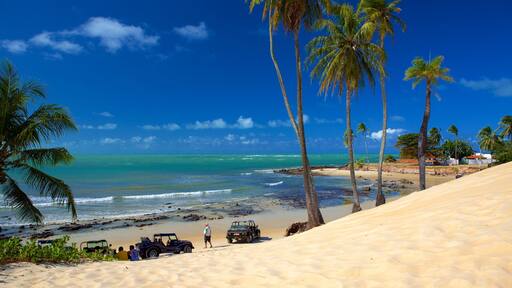 Genipabu strand fasiliteter samt sandstrand, tropisk landskap og kyst
