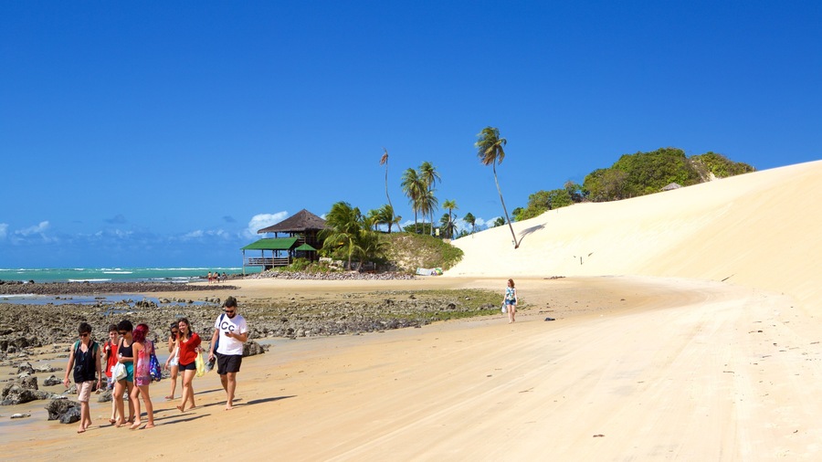 Genipabu Beach featuring general coastal views, tropical scenes and a beach