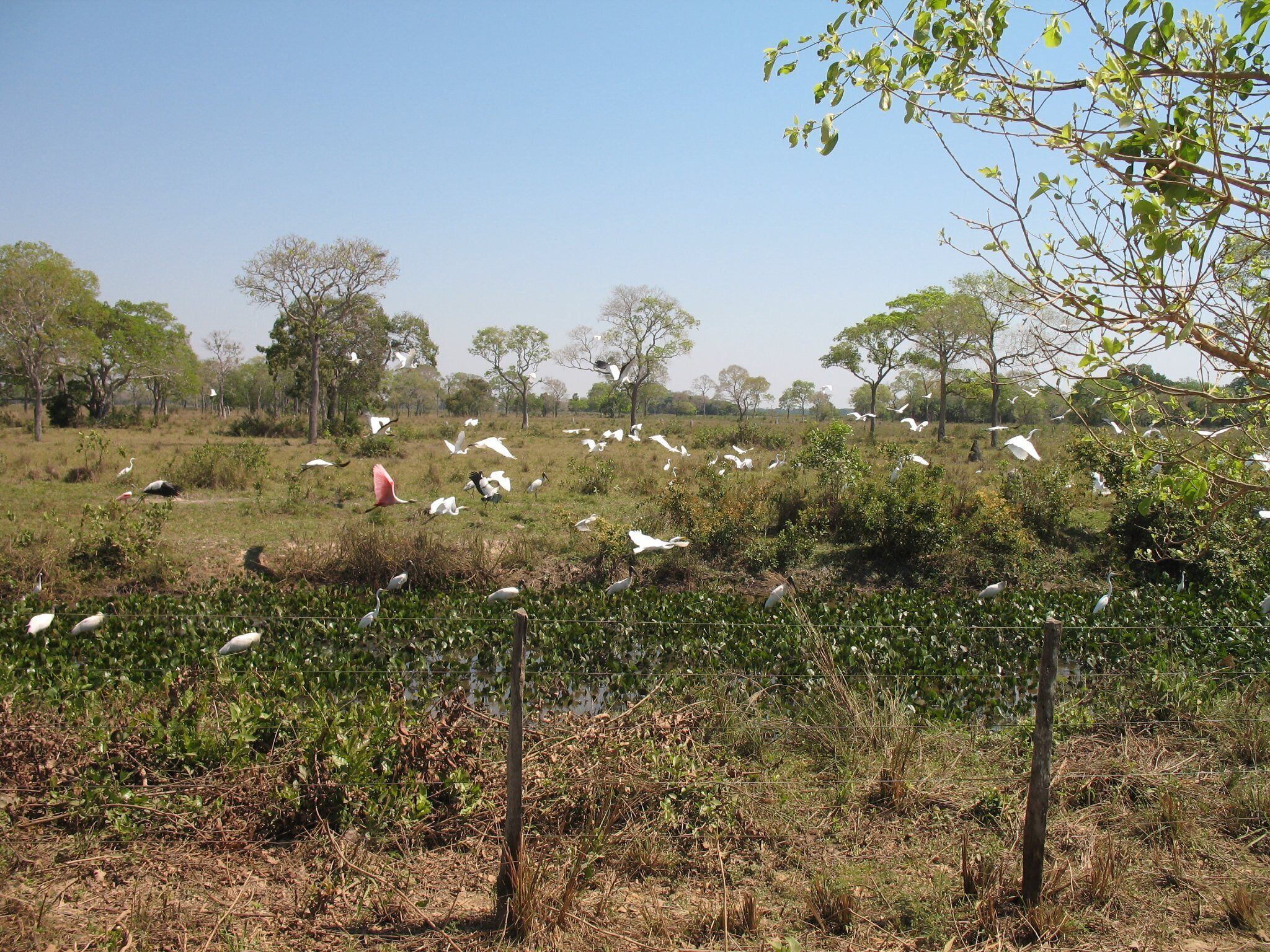 0_321c68dd-d5ce-4c52-b313-b02ac1222483_raw