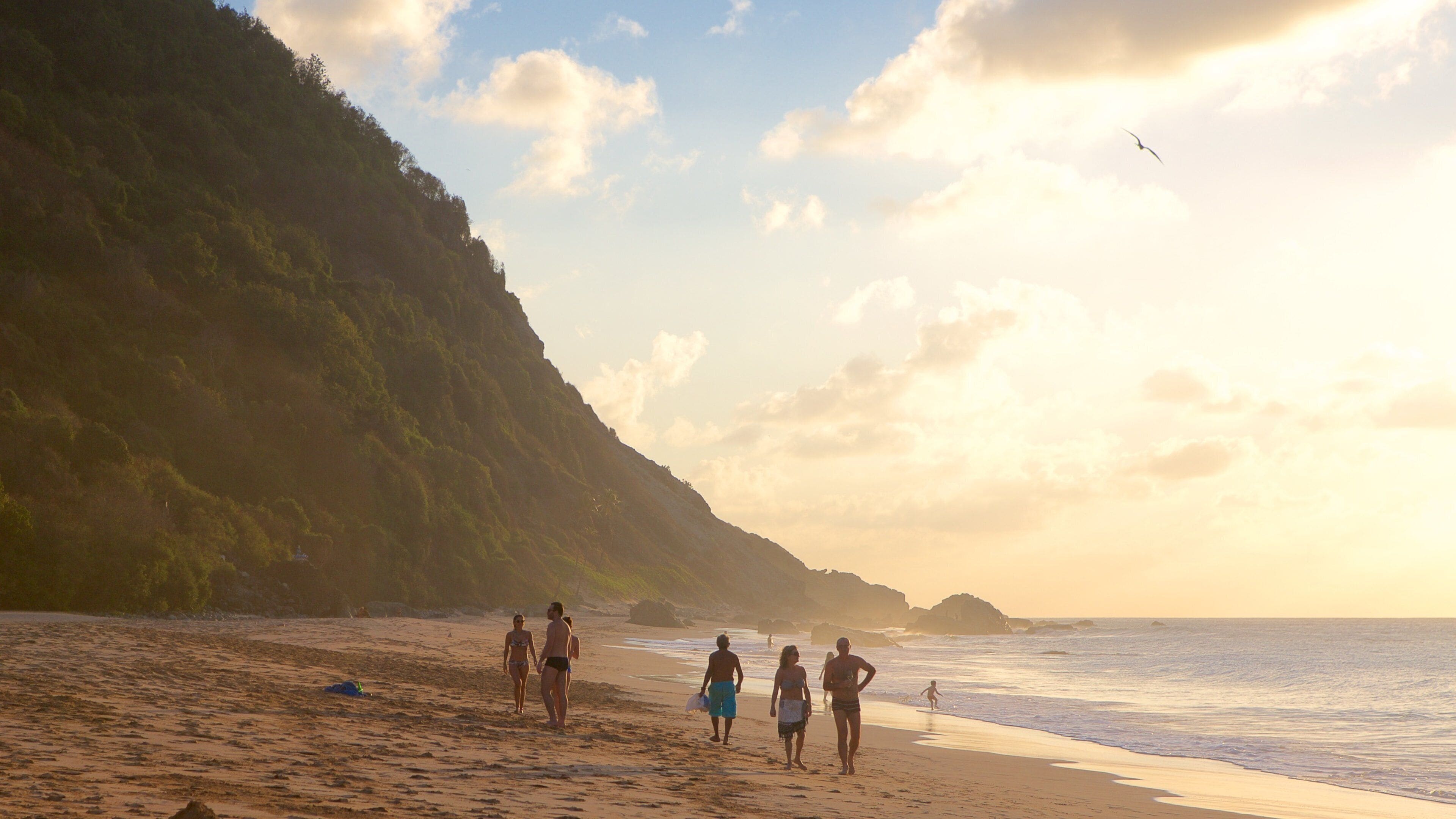Plage de Conceicao qui includes vues littorales, plage et coucher de soleil