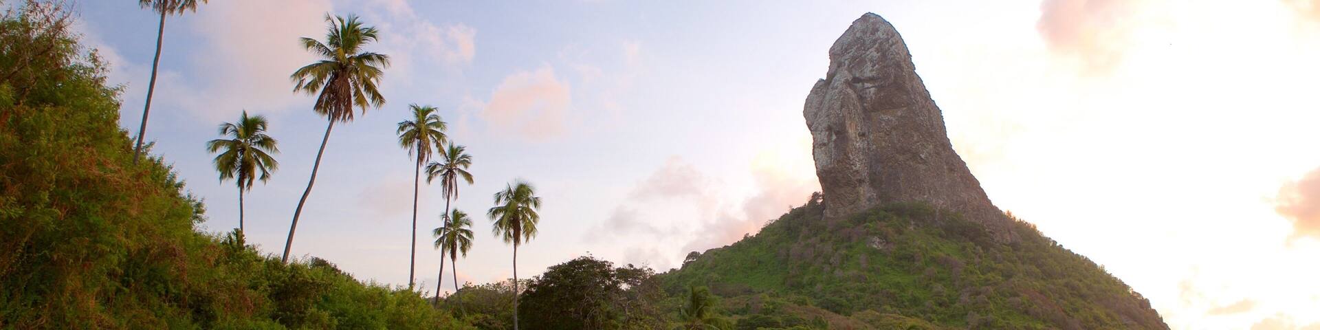 A beach with palm trees and a prominent rock formation.
