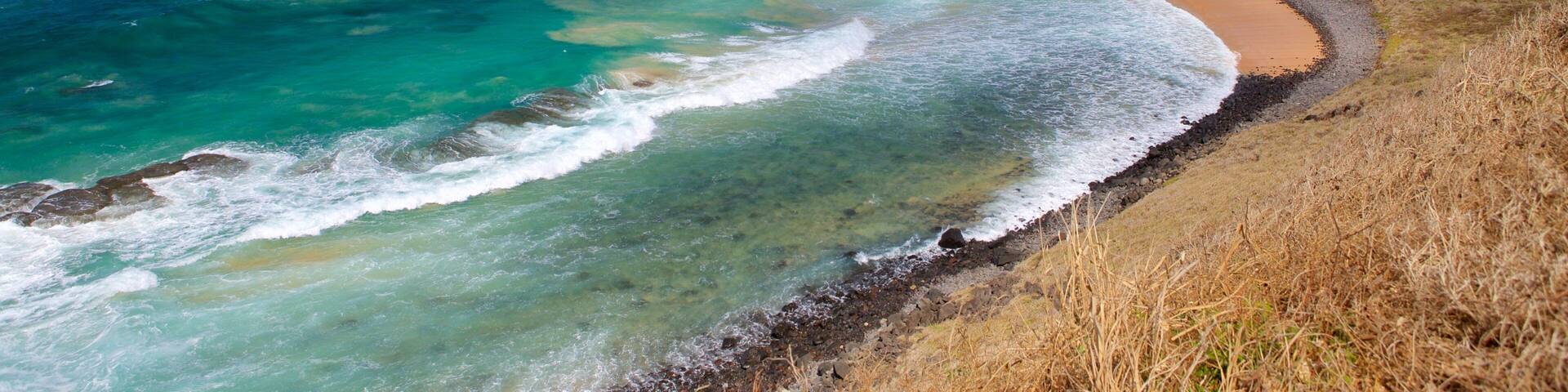 Leao Beach which includes waves, a beach and general coastal views