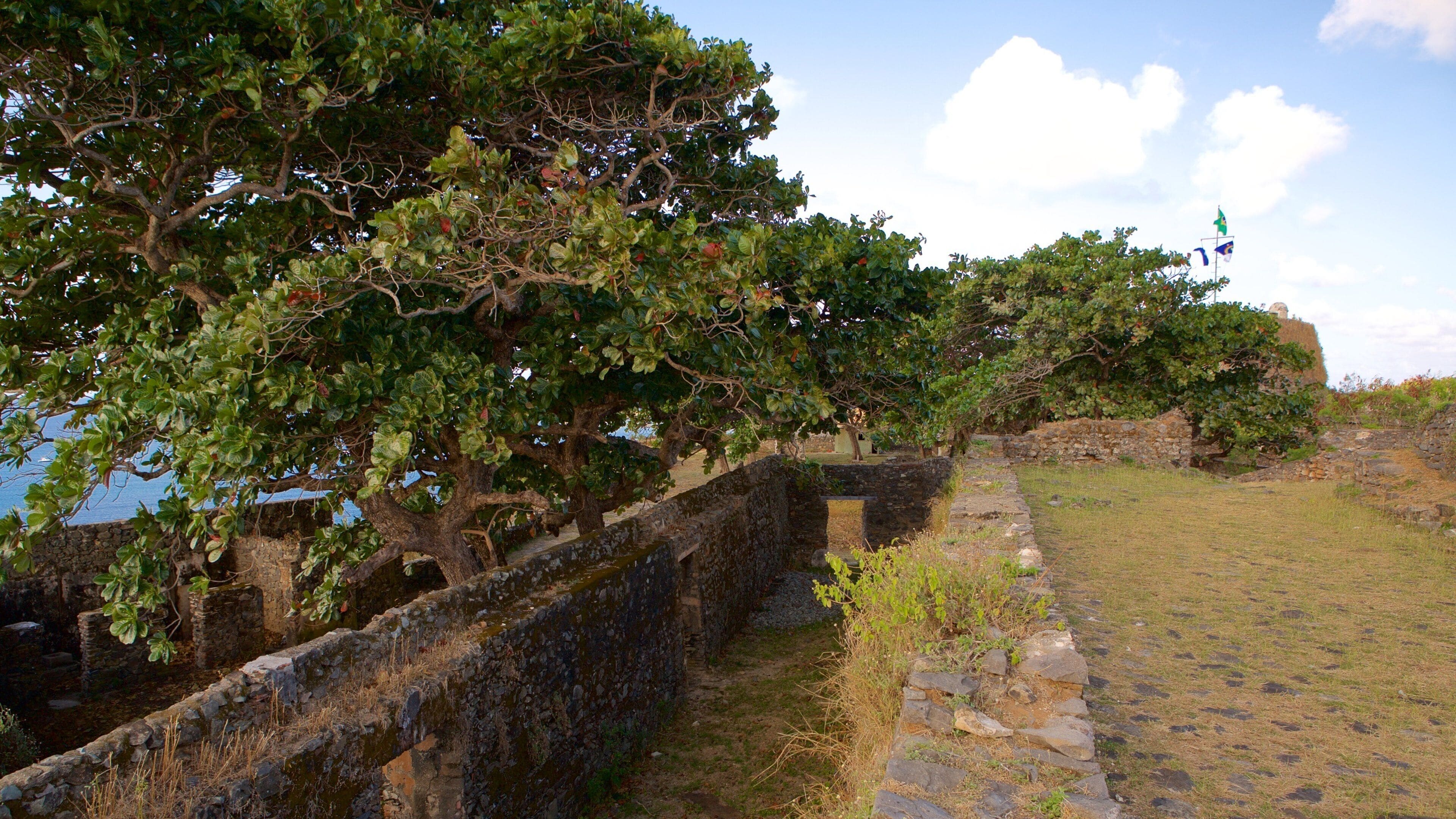 A stone wall with trees and a grassy area.