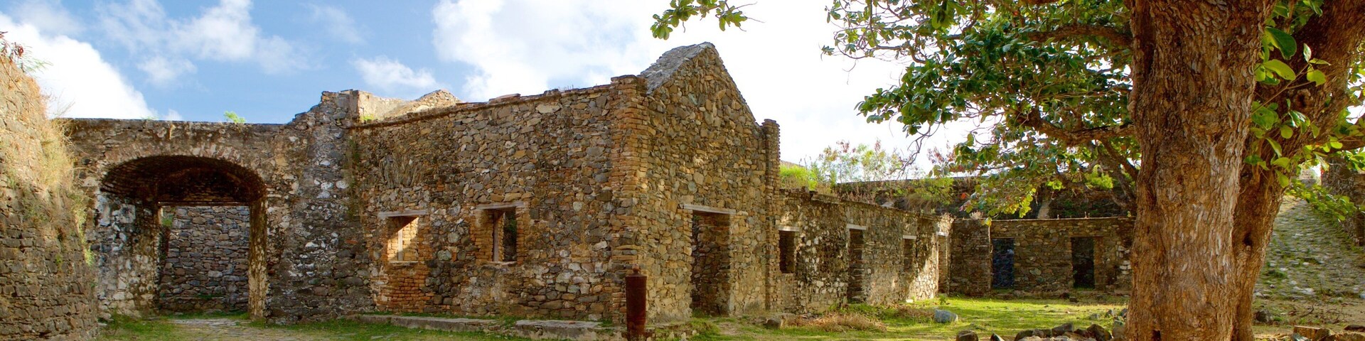 Fuerte Remedios mostrando un jardín, elementos patrimoniales y ruinas de edificios