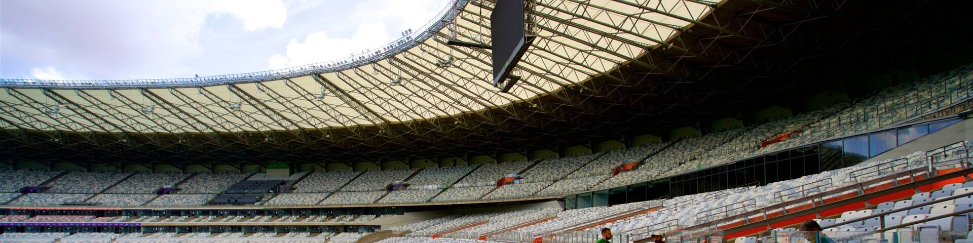 Mineirao Stadium