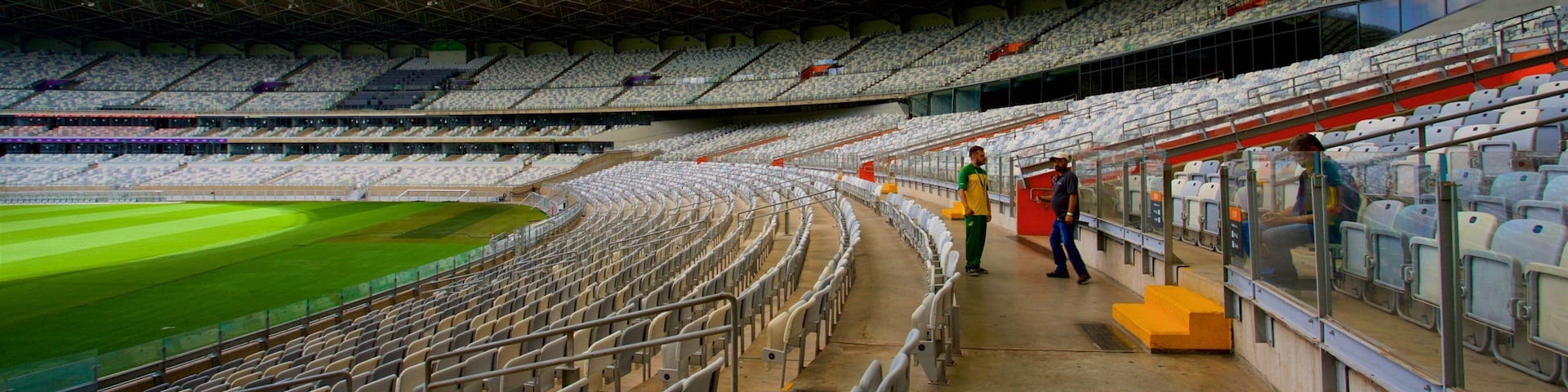 Mineirao 球場