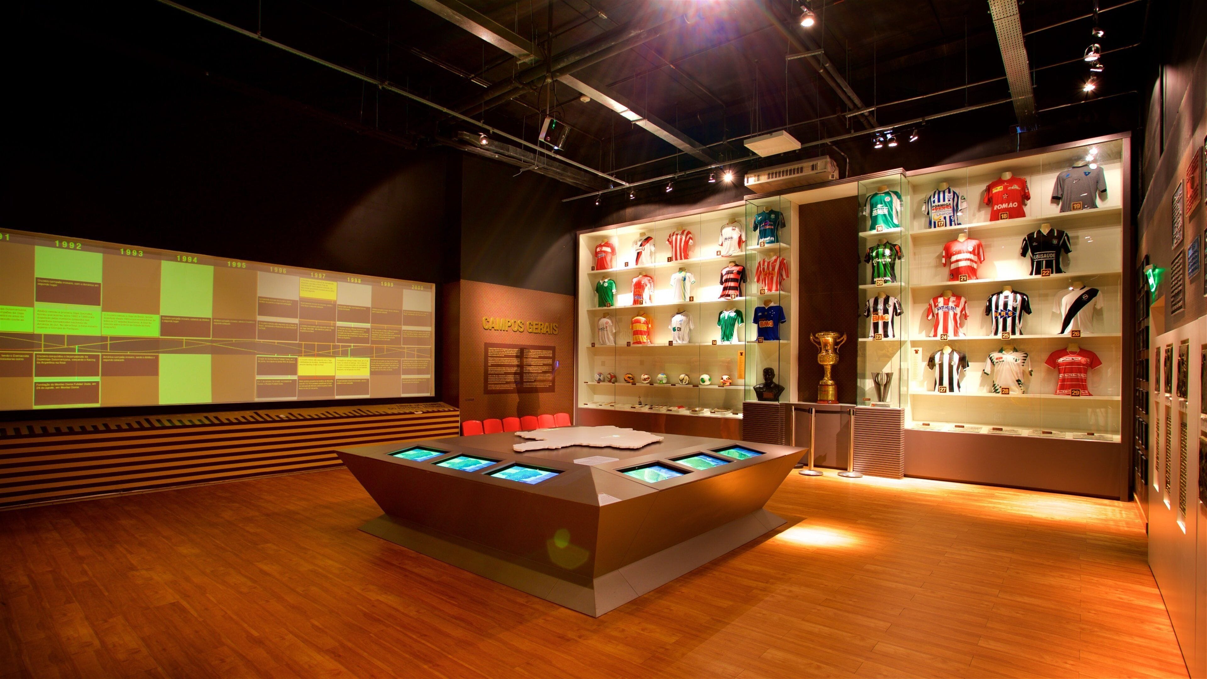 Mineirao Stadium showing interior views