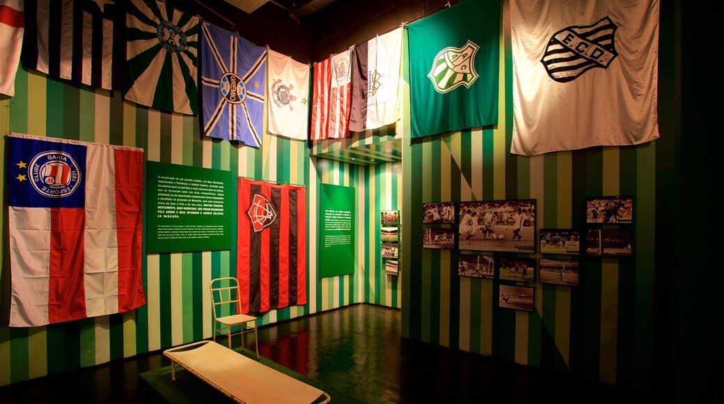 Mineirao Stadium which includes interior views