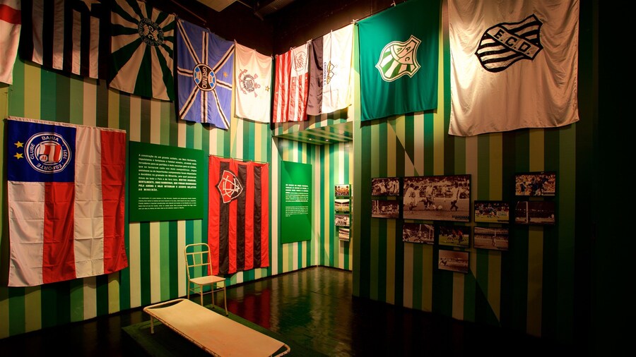 Mineirao Stadium showing interior views