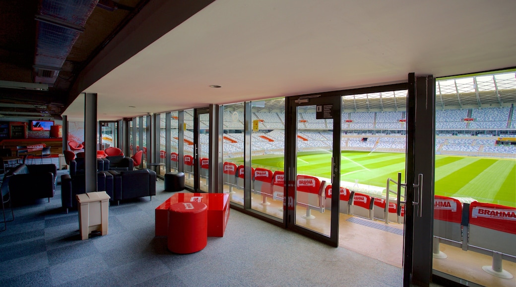 Mineirao Stadium which includes interior views