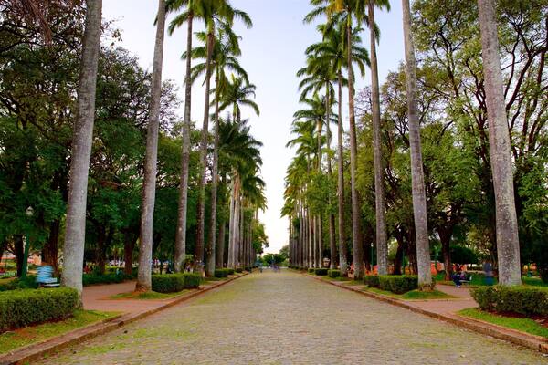 Liberty Square featuring a garden