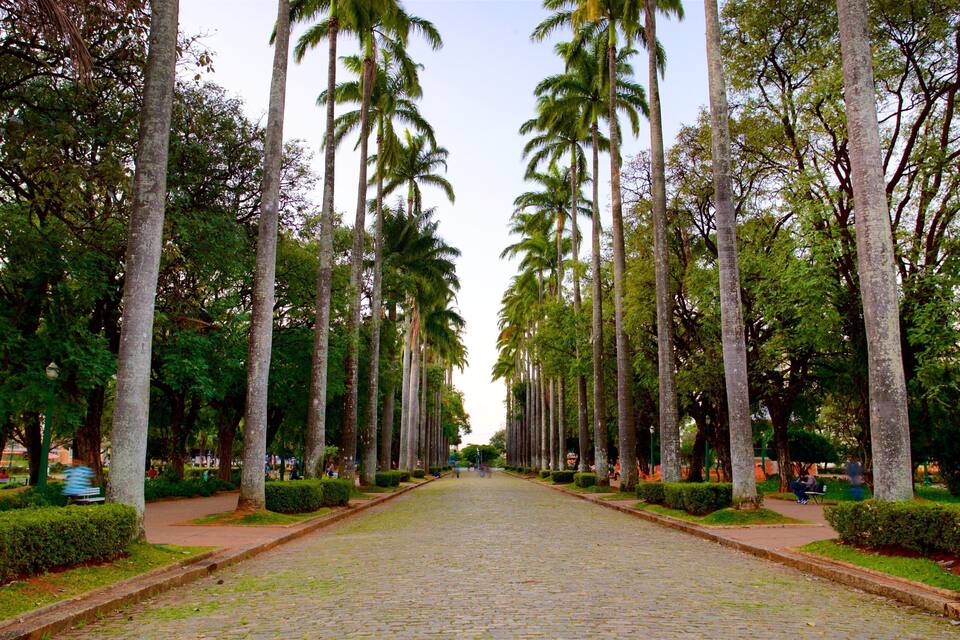A cobblestone pathway flanked by tall palm trees and neatly trimmed hedges.