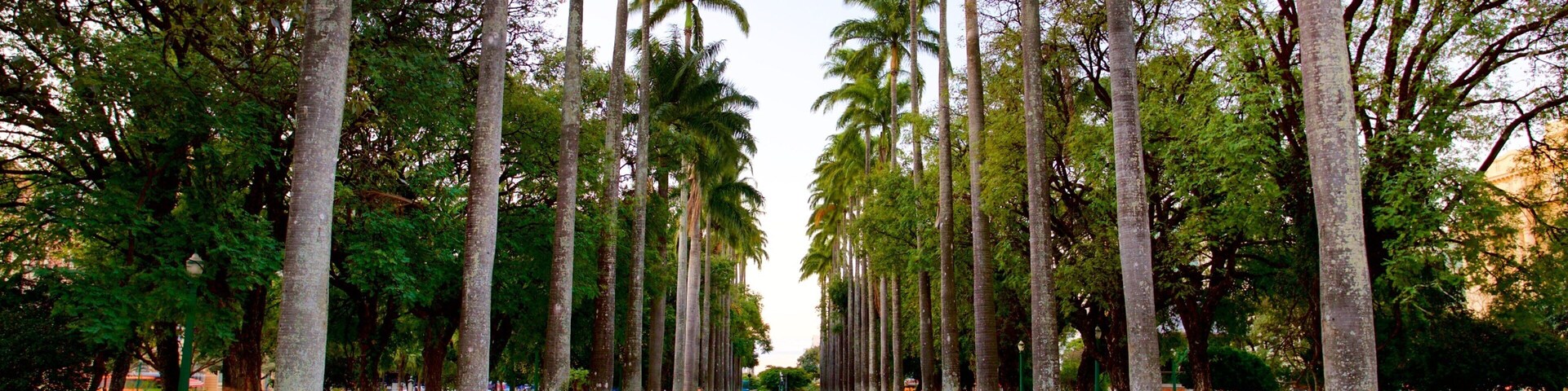 Praça da Liberdade mostrando um parque