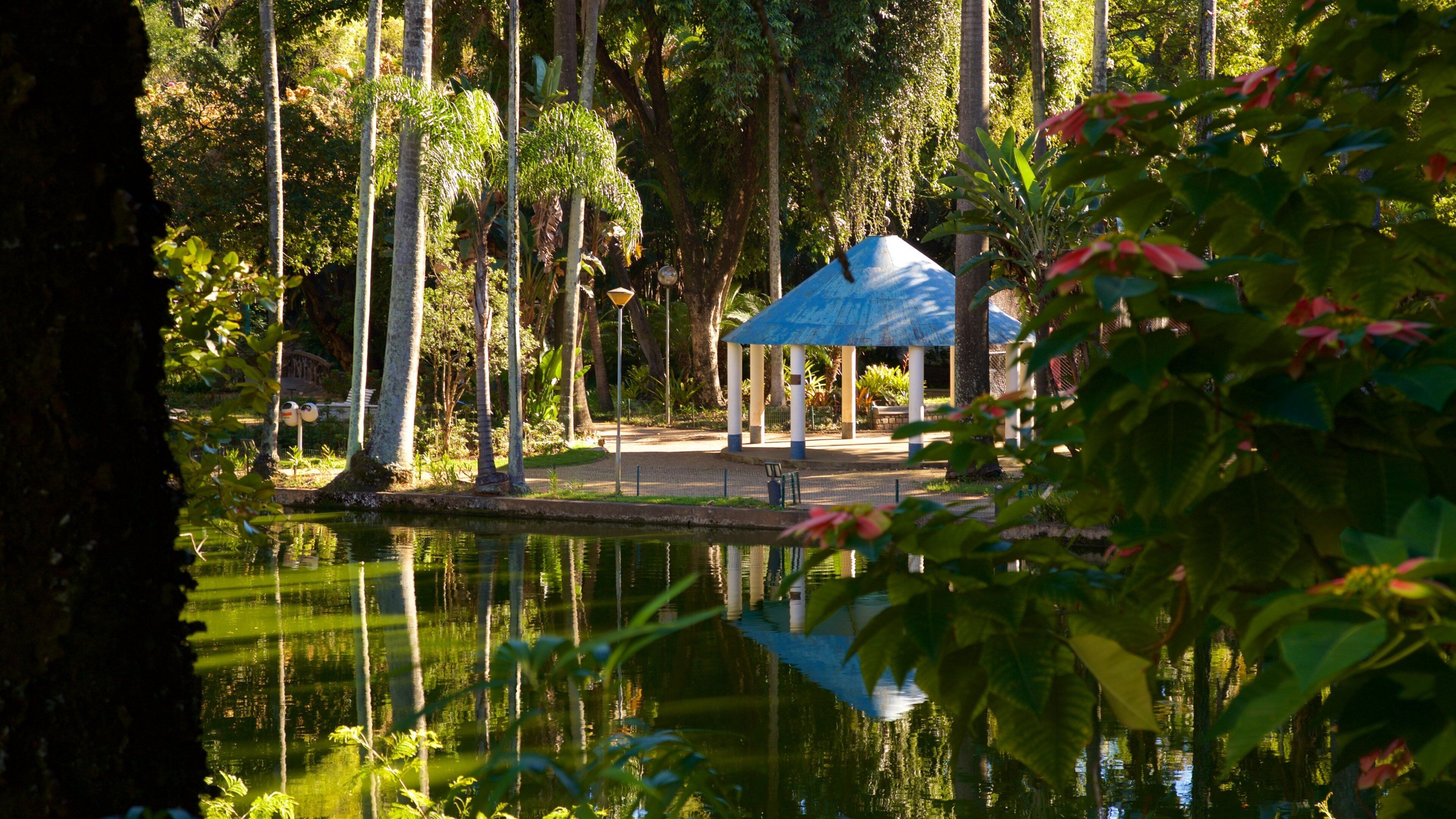 Parque Municipal Americo Renne Giannetti qui includes mare et parc