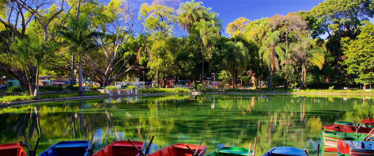 Americo Renne Giannetti Municipal Park which includes a park and a pond