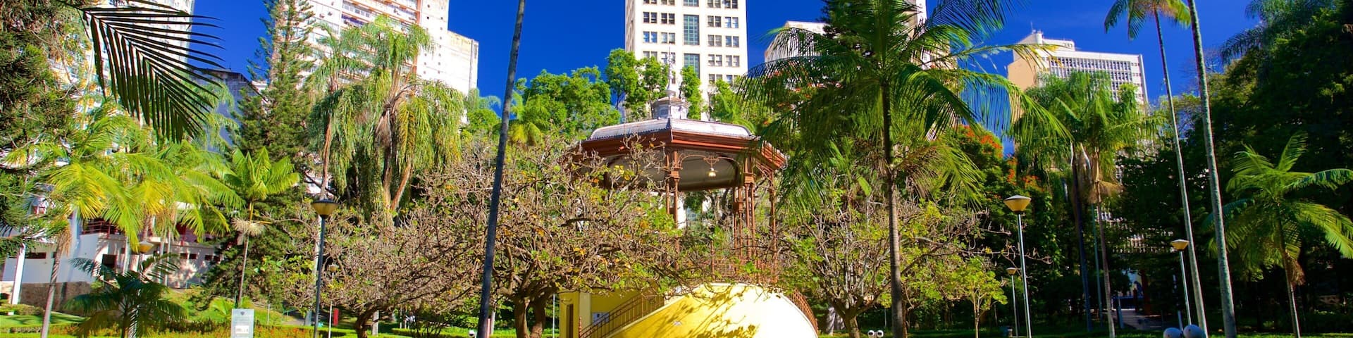 Americo Renne Giannetti Municipal Park featuring a park and a city