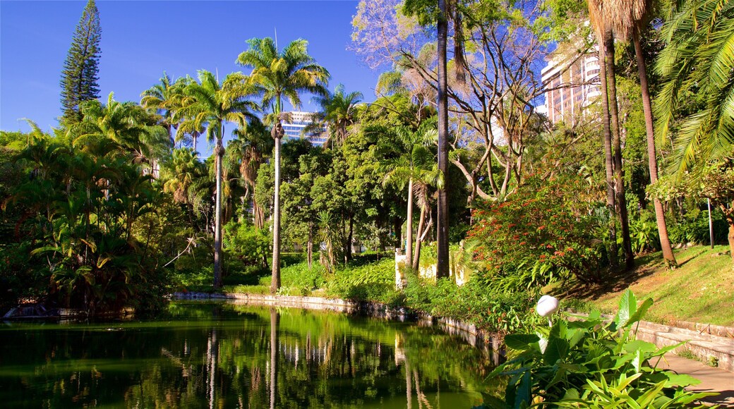 Parque Municipal Americo Renne Giannetti montrant jardin et mare