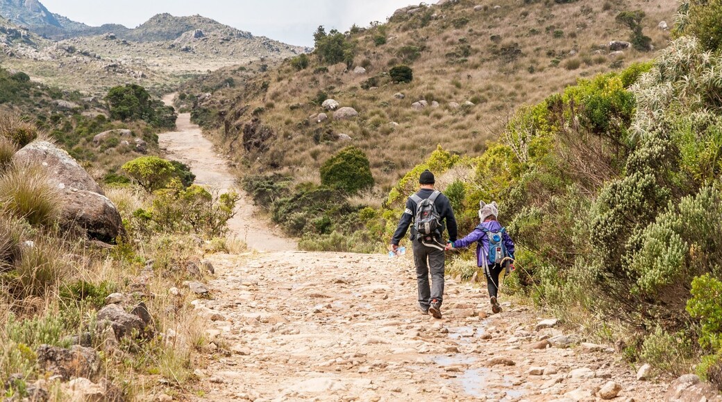The "Itatiaia National Park" is located in a city called Itatiaia, 2 hours from the center of Rio de Janeiro and to get where this photo was taken, it is necessary to walk 10 kilometers by car up a dirt road at the entrance of the upper part of the Park near the place known as "Posto Marcão". The park has several accesses, many possibilities of footpaths and crossings and it is possible to camp.
#GreatOutDoors