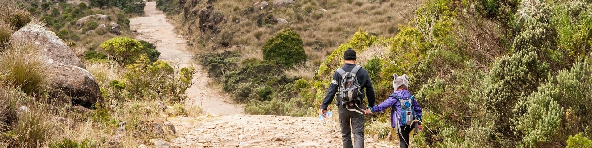 The "Itatiaia National Park" is located in a city called Itatiaia, 2 hours from the center of Rio de Janeiro and to get where this photo was taken, it is necessary to walk 10 kilometers by car up a dirt road at the entrance of the upper part of the Park near the place known as "Posto Marcão". The park has several accesses, many possibilities of footpaths and crossings and it is possible to camp.
#GreatOutDoors