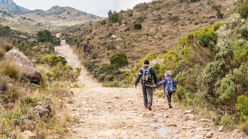 The "Itatiaia National Park" is located in a city called Itatiaia, 2 hours from the center of Rio de Janeiro and to get where this photo was taken, it is necessary to walk 10 kilometers by car up a dirt road at the entrance of the upper part of the Park near the place known as "Posto Marcão". The park has several accesses, many possibilities of footpaths and crossings and it is possible to camp.
#GreatOutDoors