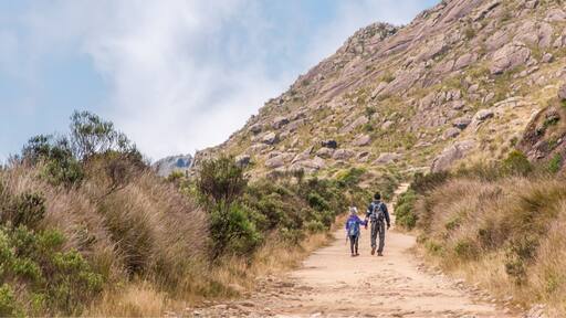 The "Itatiaia National Park" is located in a city called Itatiaia, 2 hours from the center of Rio de Janeiro and to get where this photo was taken, it is necessary to walk 10 kilometers by car up a dirt road at the entrance of the upper part of the Park near the place known as "Posto Marcão". The park has several accesses, many possibilities of footpaths and crossings and it is possible to camp.
#GreatOutDoors