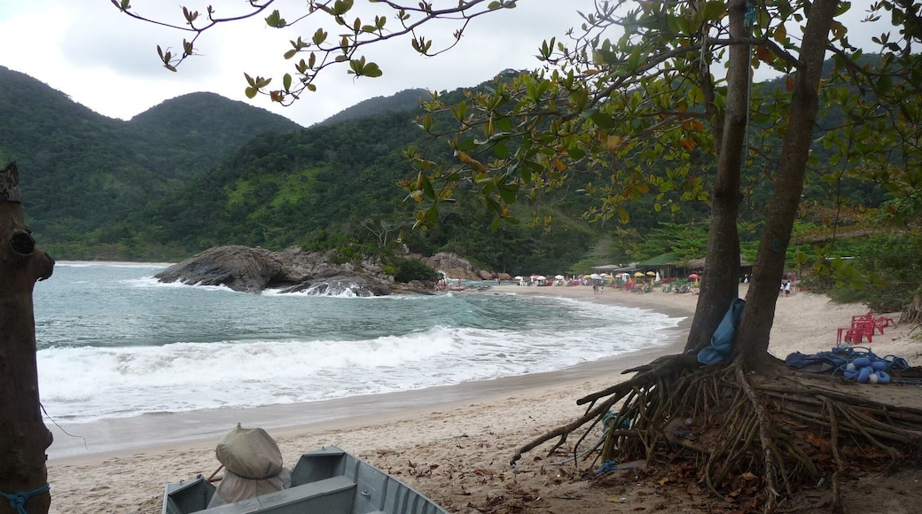 0_5650671e-3566-4b57-9ab5-ef49223393cf_raw