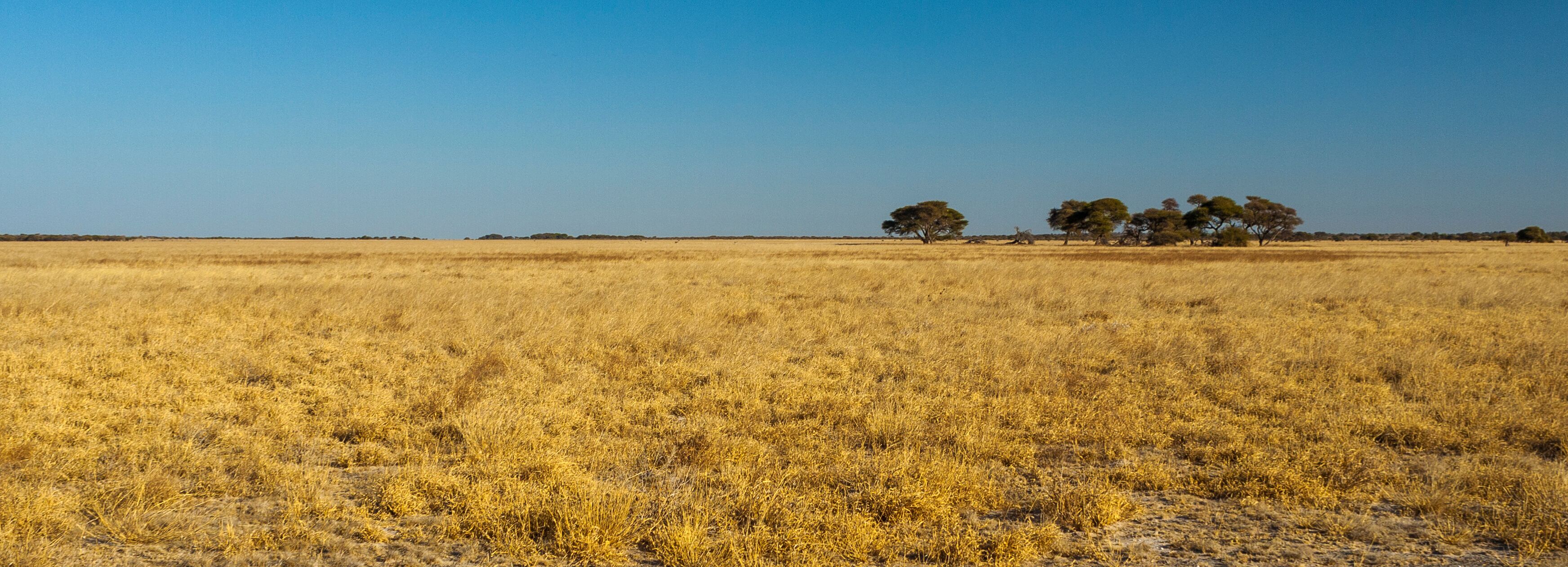Central Kalahari Game Reserve, Botswana