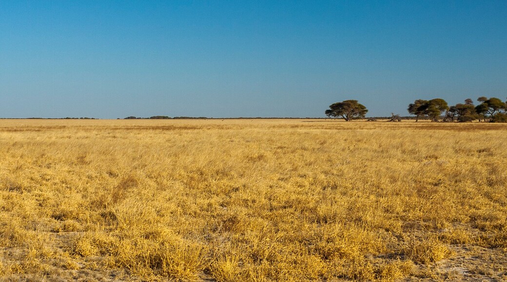 Central Kalahari Game Reserve, Botswana