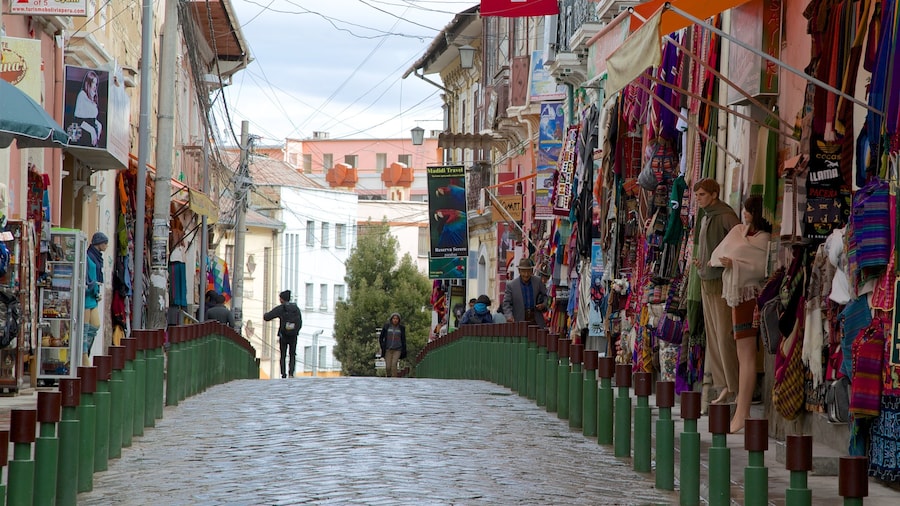 Plaza San Francisco presenterar gatuliv