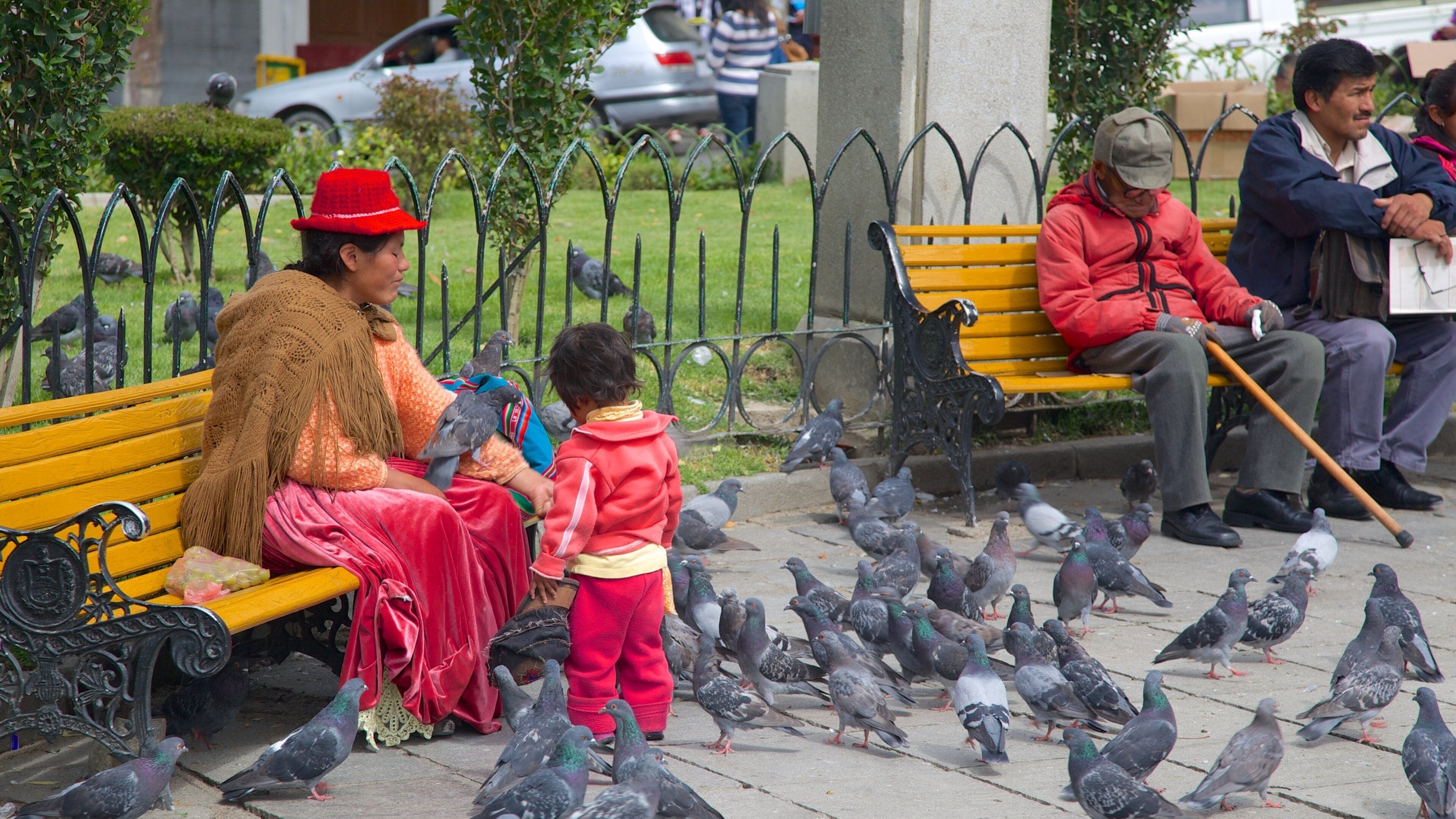 Plaza Murillo som inkluderer fugleliv i tillegg til en liten gruppe med mennesker