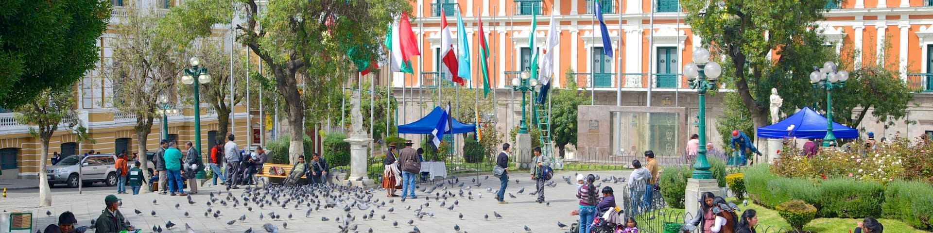 Plaza Murillo which includes bird life and a square or plaza as well as a large group of people