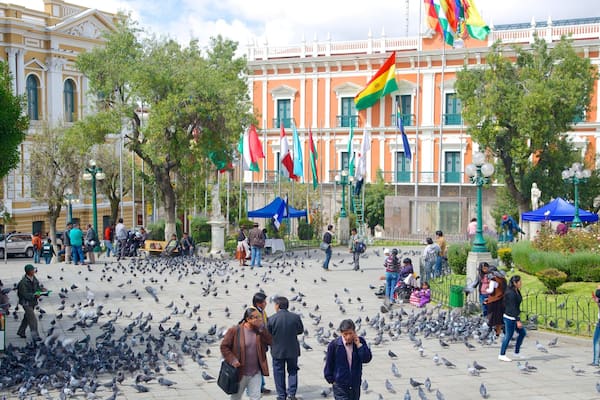 Plaza Murillo mettant en vedette square ou place et vie des oiseaux aussi bien que important groupe de personnes