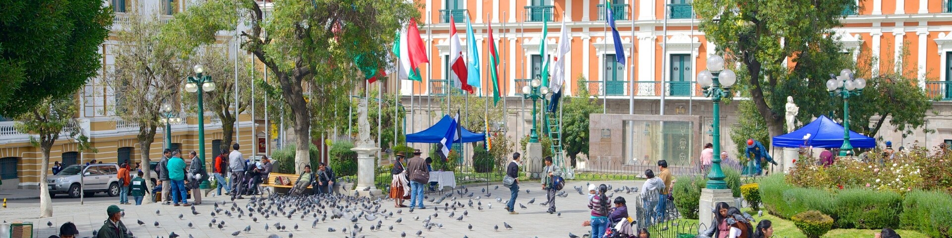 Plaza Murillo que incluye aves y una plaza y también un grupo grande de personas