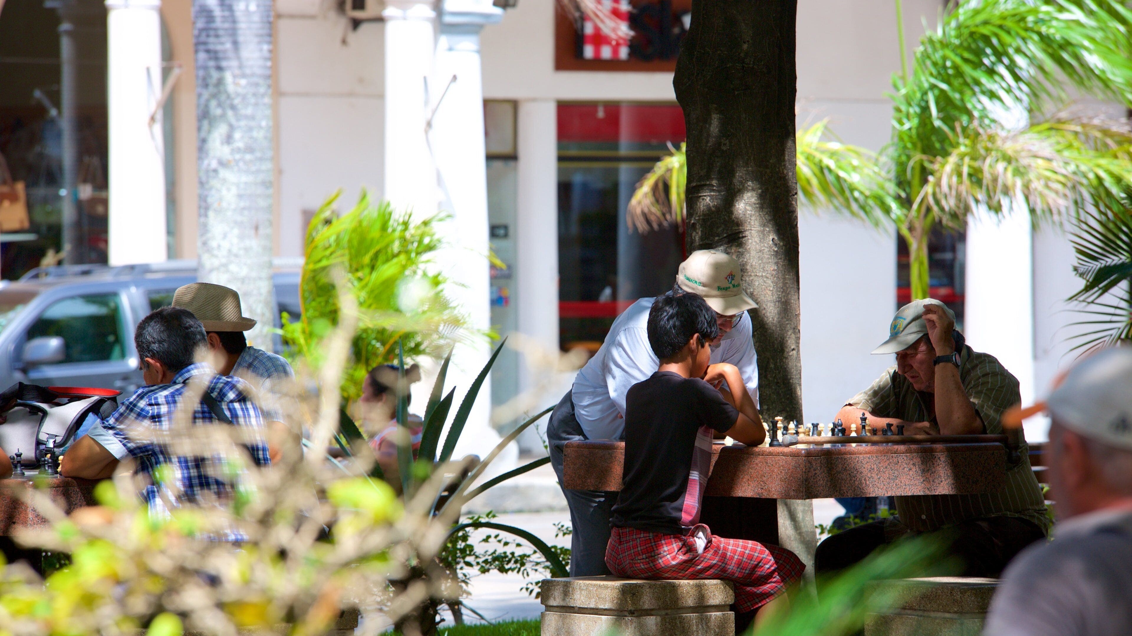 Plaza 24 de Septiembre ofreciendo jardín