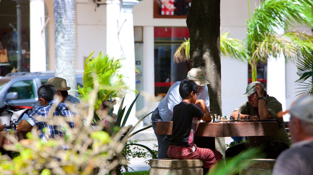 Plaza 24 de Septiembre ofreciendo jardín