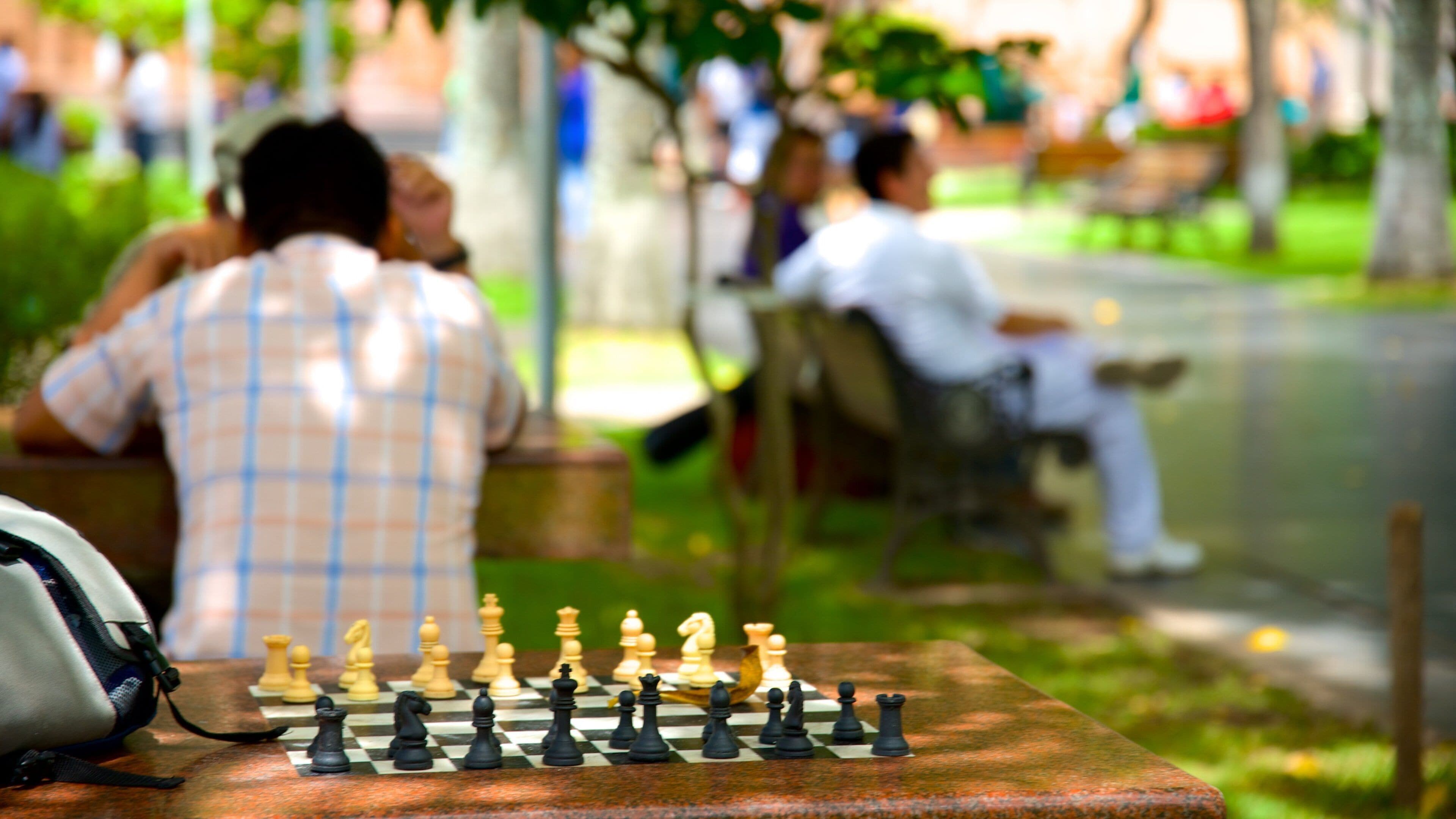 Plaza 24 de Septiembre featuring a garden