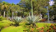 A park with agave plants, benches, and red flowers.