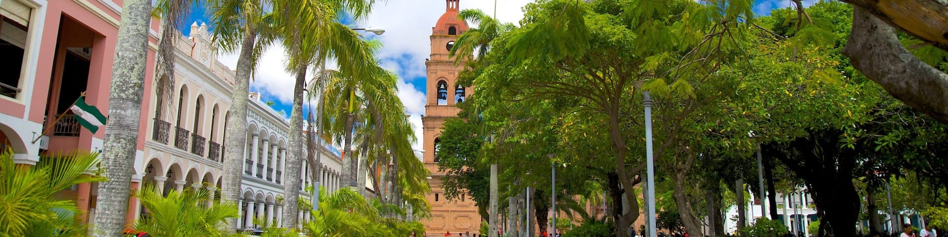 San Lorenzo Cathedral showing a garden