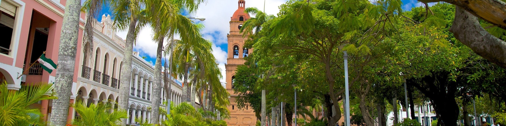 San Lorenzo Cathedral featuring a garden