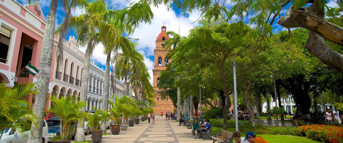 San Lorenzo Cathedral showing a garden