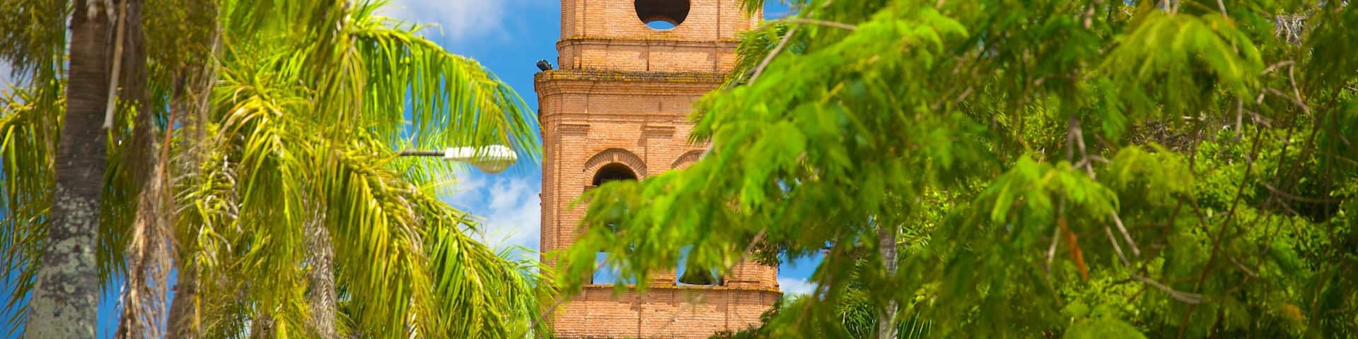 A historic brick tower with a dome and bell, surrounded by lush green palm trees.