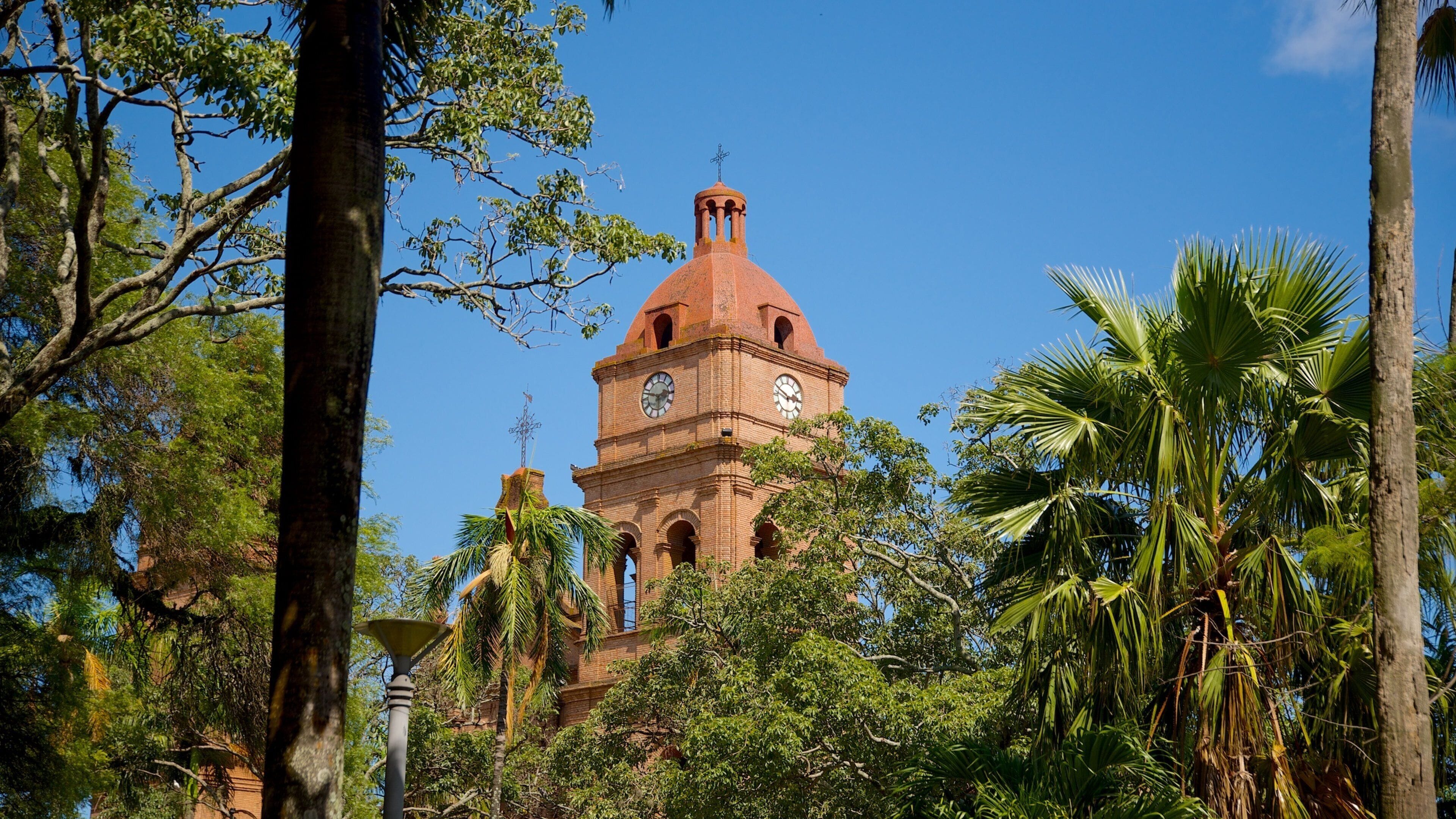 A historic tower with a clock, surrounded by lush greenery and palm trees.