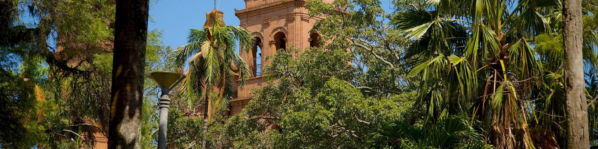 San Lorenzo Cathedral which includes a church or cathedral