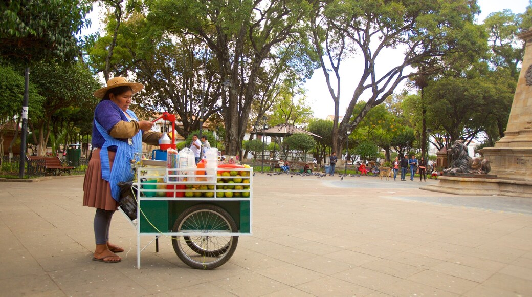 Plaza de 25 de Mayo featuring a square or plaza as well as an individual femail