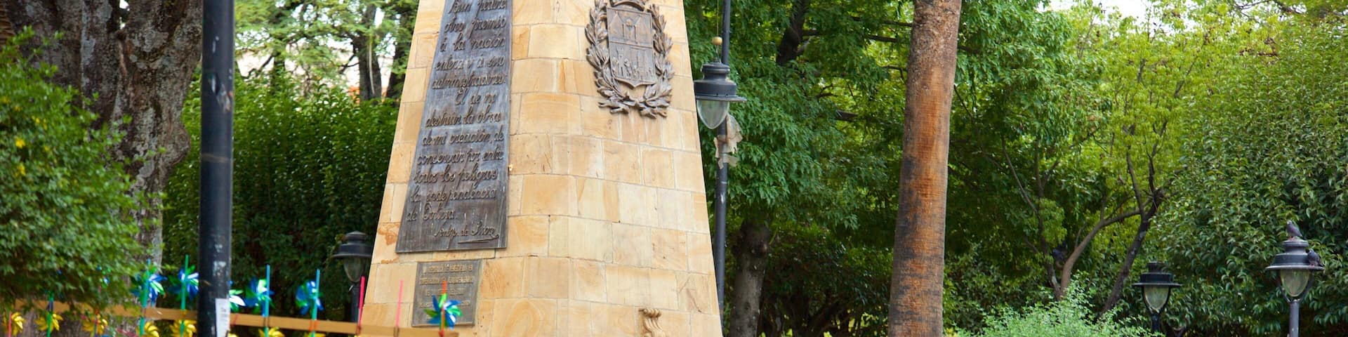 Plaza de 25 de Mayo showing a statue or sculpture and bird life