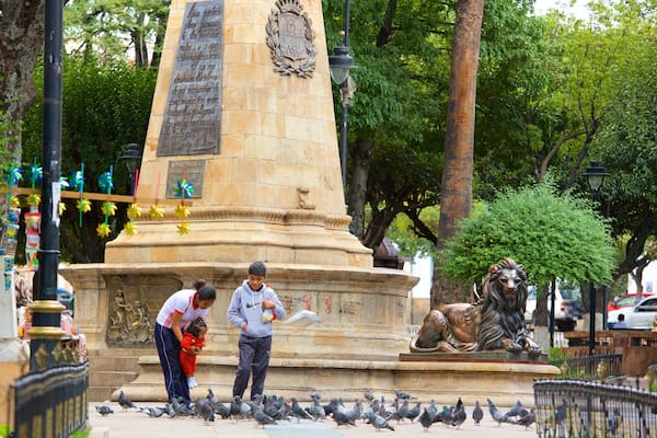 Plaza de 25 de Mayo showing bird life and a statue or sculpture