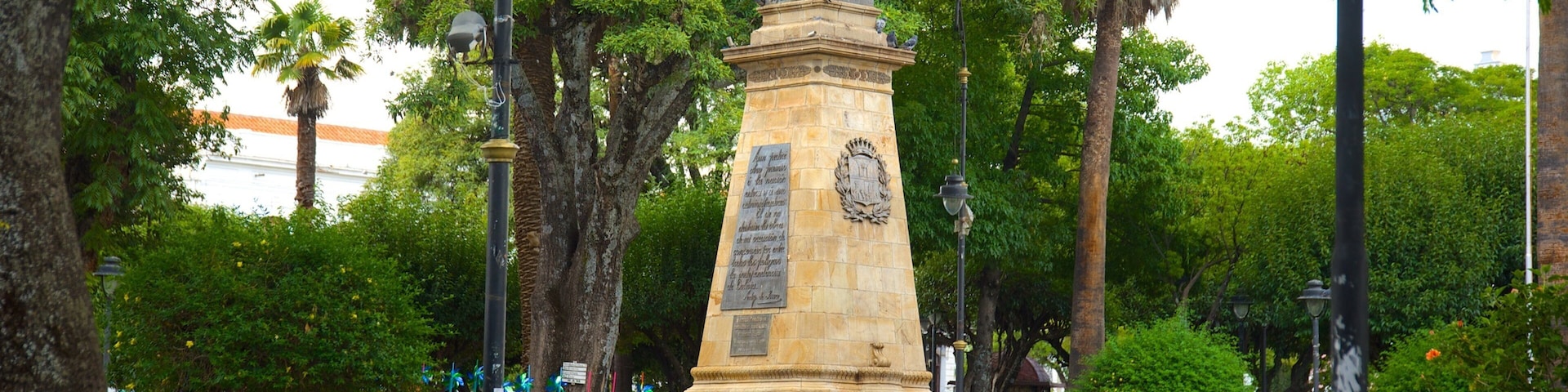 Plaza de 25 de Mayo que inclui uma estátua ou escultura e um jardim