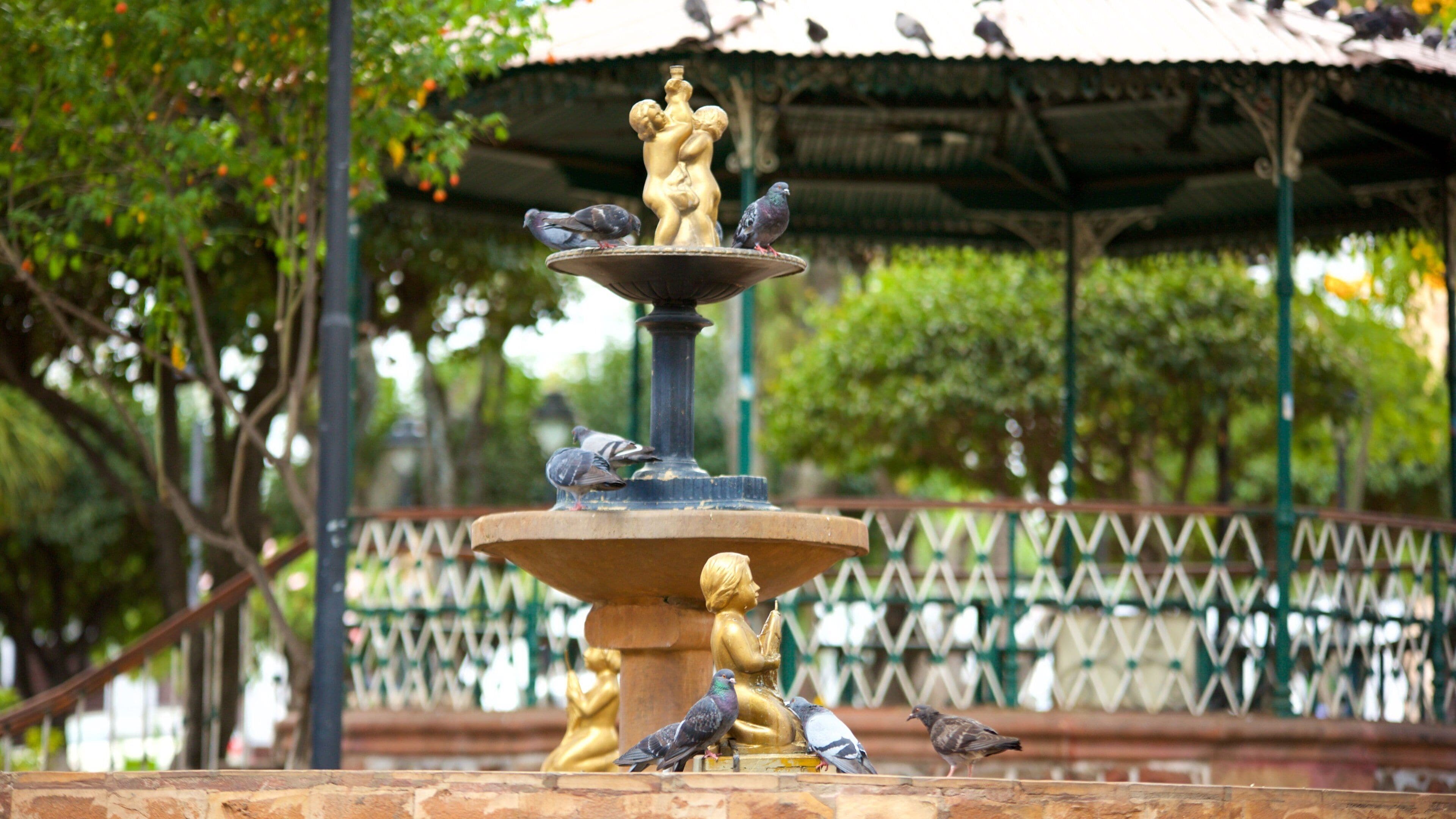 Plaza de 25 de Mayo featuring a fountain
